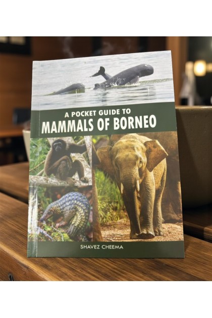 A Pocket Guide To Mammals of Borneo by Shavez Cheema